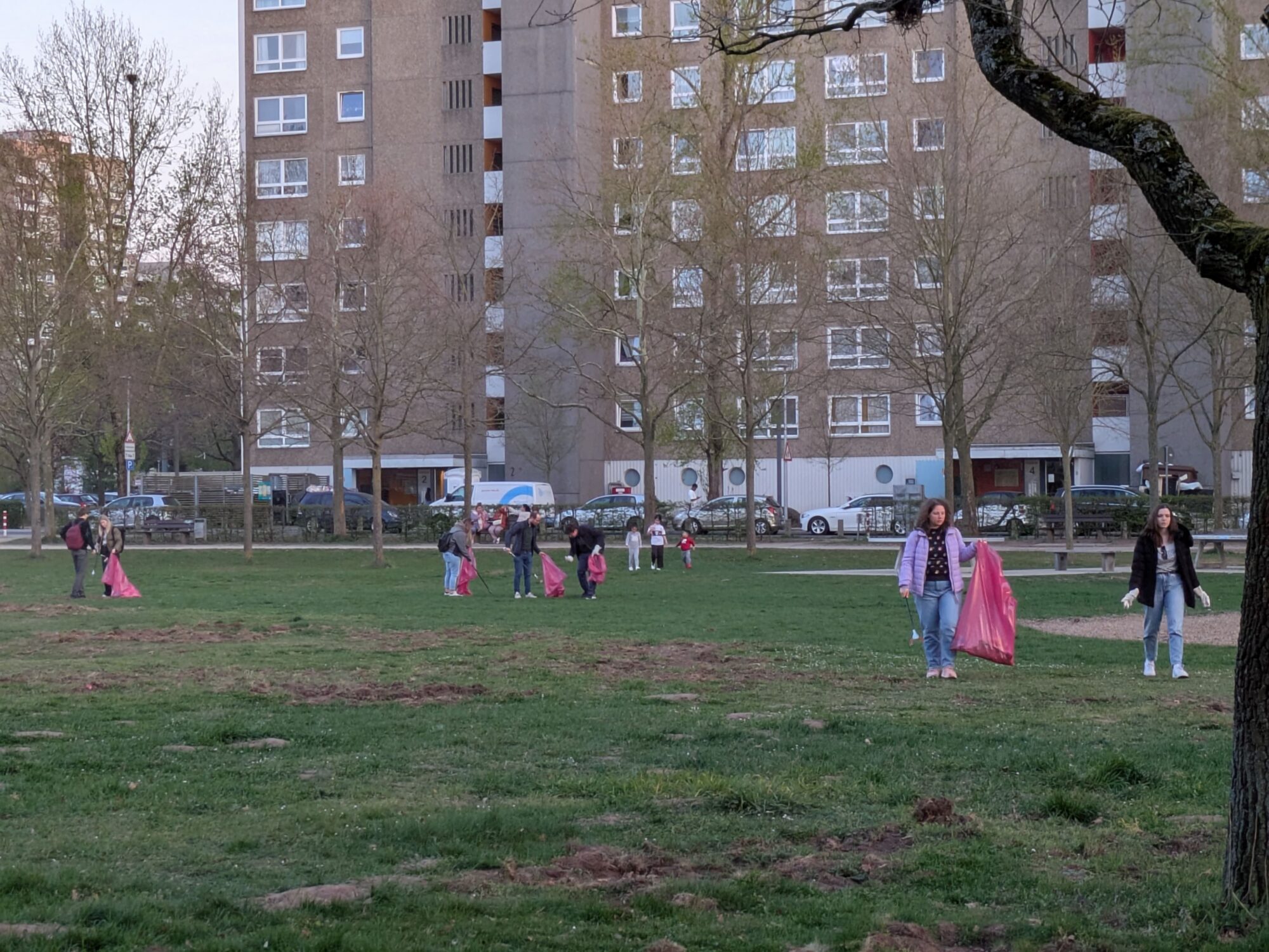 "You will never collect alone!"